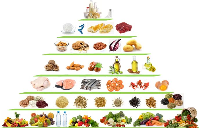 maju on X: Simplifiez votre équilibre alimentaire ⚖️Ne pesez plus vos  aliments ➕Ne comptez plus vos calories 💯100% personnalisable 👨🏻‍⚕️  Élaboré par des diététiciens nutritionnistes Inscrivez-vous :   #maju #teammaju